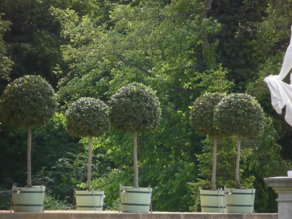Schlossparkferienwohnungen Rheinsberg Mit Garten Bagian luar foto