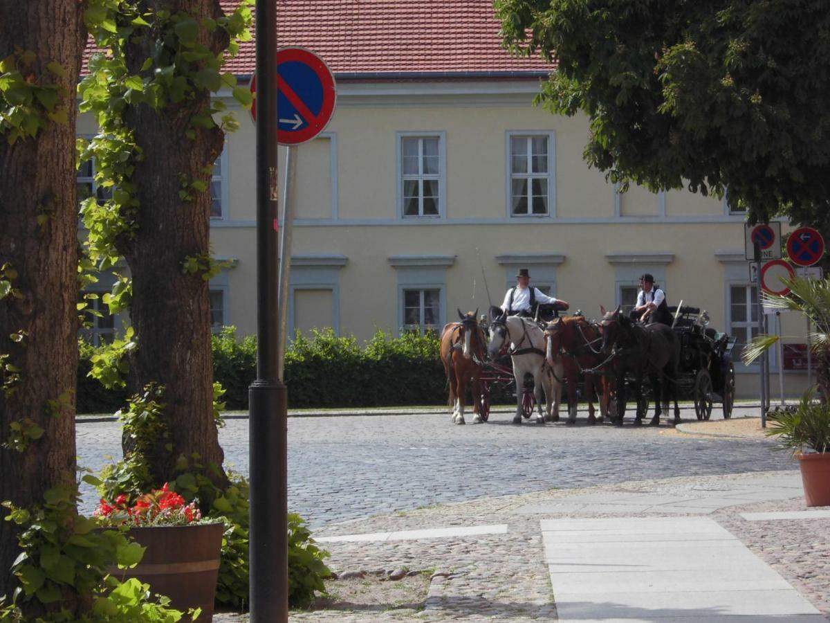 Schlossparkferienwohnungen Rheinsberg Mit Garten Bagian luar foto
