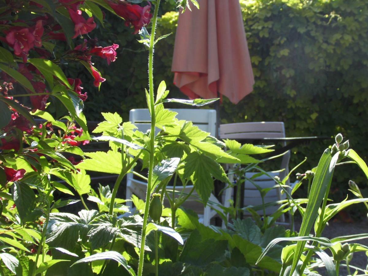 Schlossparkferienwohnungen Rheinsberg Mit Garten Bagian luar foto